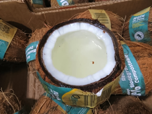 Noix de coco fraîche